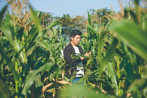 農(nóng)大夫妻的現(xiàn)實版“去有風(fēng)的地方” 用心打造屬于自己的農(nóng)產(chǎn)品夢想