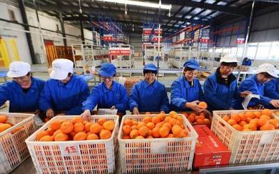 水產養殖賦能鄉村振興，湖北四企入選全國典型案例