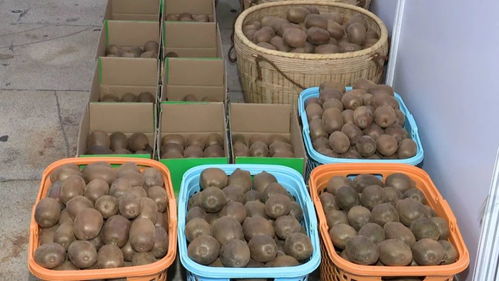 河源鄉村振興農產品展銷會開幕 300多種特色農產品，共繪鄉村新畫卷