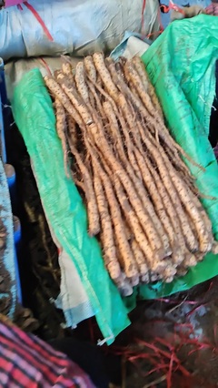 從鐵棍豆苗到江湖傳說(shuō) 不會(huì)武功的郭大俠如何扎根農(nóng)產(chǎn)品種植