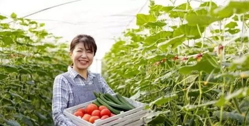 三產(chǎn)融合，共贏未來(lái) 如何將休閑農(nóng)業(yè)、鄉(xiāng)村旅游與有機(jī)農(nóng)產(chǎn)品種植打造成最佳營(yíng)銷(xiāo)組合